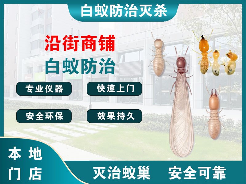 仪征市沿街商铺白蚁防治