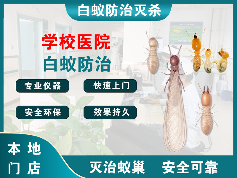 仪征市学校医院白蚁防治