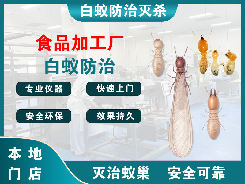 仪征市食品加工厂白蚁防治