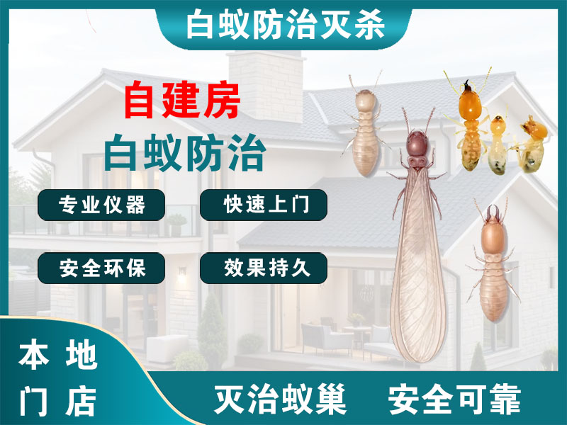 仪征市自建房白蚁防治