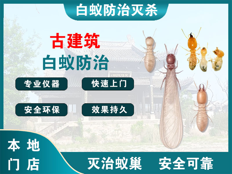 仪征市古建筑白蚁防治