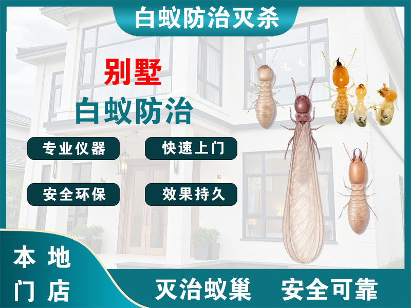 仪征市别墅白蚁防治